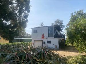 Straight to the Point