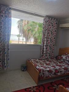 شاليه الهنا 1 للإيجار مصيف قرية النورس الإسماعيلية