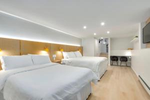 Modern King-Size Guest Suite with AC