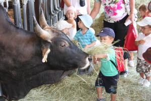 Sejours a la ferme Domaine du Bas Chalus : photos des chambres