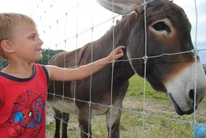 Sejours a la ferme Domaine du Bas Chalus : photos des chambres