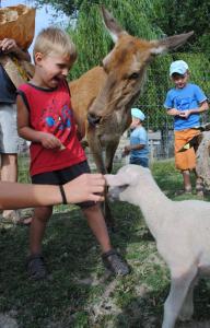 Sejours a la ferme Domaine du Bas Chalus : photos des chambres