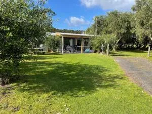 Olive Grove Cottage - Whangarei Holiday Home - 图图卡卡