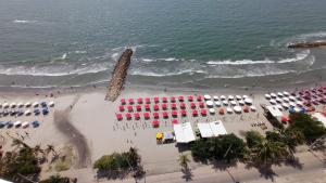 Palmetto Eliptic - Frente al Mar