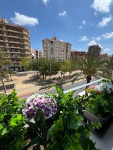 Departamento DiseƱo Elche