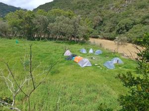 Alojamiento eco amigable