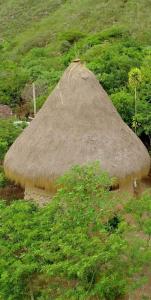 Alojamiento eco amigable