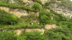 Alojamiento eco amigable