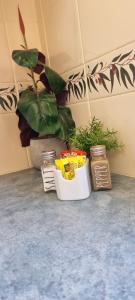 Blackall Caravan Park