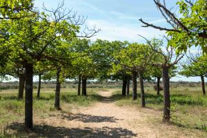 Campings Domaine Les Muriers : photos des chambres