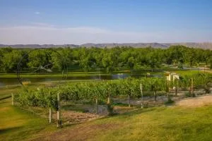 Pueblo Vinícola Parvada by Lumina - Ejido Parras