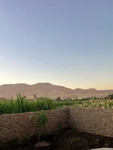 Habu flower - Al Aqālitah