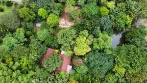 The Sense of Wood - Khanong Phra