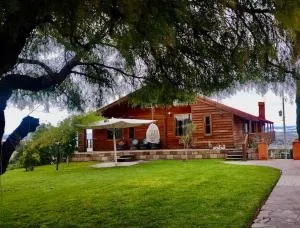 Casa del árbol - Zapotlán de Juárez