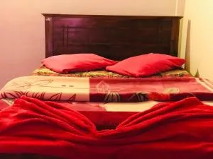 New shalika cabin nuwaraeliya - Amunumulla