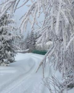 Blizej nieba Koskowa Gora
