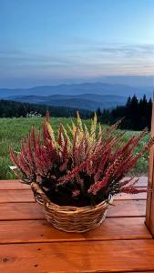 Blizej nieba Koskowa Gora