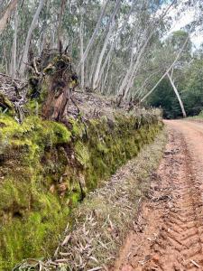 REDVERSDALE- 4 x 4 Recommended