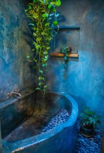 CASA DE COUGLETTA - Artist retreat, stunning views
