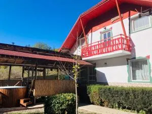 Báncs Vidéki Vendégház és Tanya - Sub Cetate