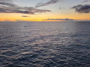 Desertas View Apartment