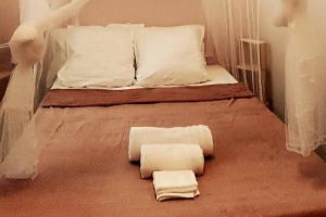 Appartements Le petit cocon : photos des chambres