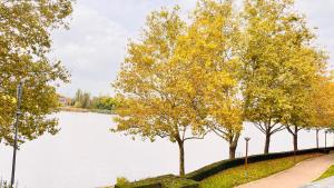 Charmant et cosy appartement à Créteil lac