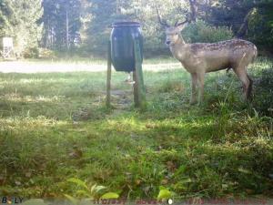 Aneks i rolige omgivelser-adgang til pool og sauna