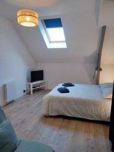 Appartements Studio avec terrasse : photos des chambres