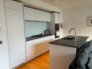 Executive Quartermile apartment near to Castle University with park view