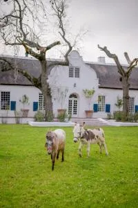 San Gabriel Homestead - Helderberg College