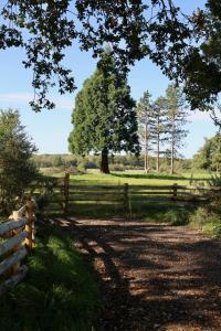 Lodges CASAMAAS : photos des chambres