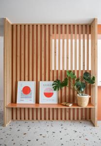 Terrasol Piragua Home