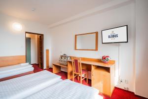 Triple Room room in Hotel Globus