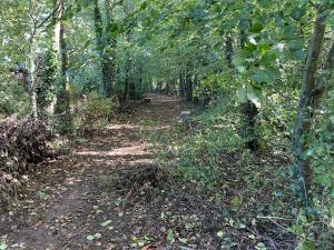 The cottage Greenacre House