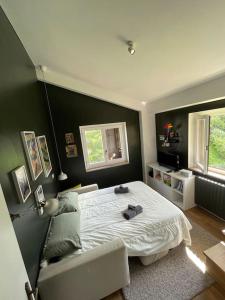 Charme e Tranquillità in Montagna