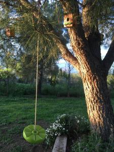 Casa Rural Cortijo del Zoco Bajo