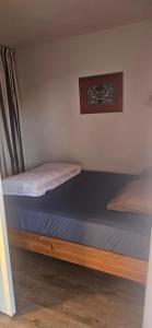 Appartement skis aux pieds BETELGEUSE