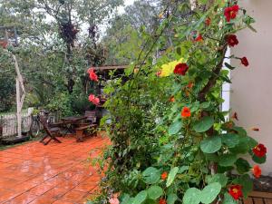 Family house - stay on pine hill Dalat