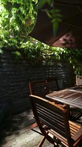 Apartement Strasbourg entre hypercentre et verdure