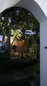 Appartements Apartement Strasbourg entre hypercentre et verdure : photos des chambres