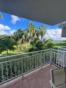 Kaz Mango - Bellevue