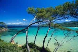 Provence Verdon