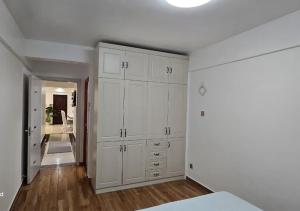 Wilnas Penthouse Apartment