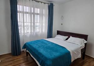 Wilnas Penthouse Apartment