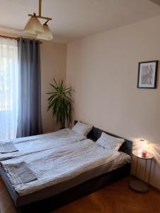 Apartament 14