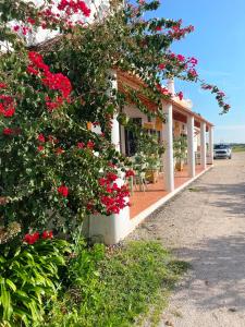 Two-Bedroom House room in Herdade dos Salgados do Fialho