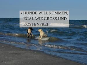 Haus Krabbe Zimmer ohne Küche, zentral gelegen zwischen Cuxhaven und Bremerhaven, Unterstellmöglichkeit für Fahrräder und E-Bikes, hauseigener Parkplatz, Hunde kostenfrei willkommen