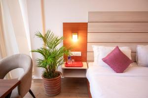 Hotel Sagar Residency - Best Mountain View Hotel in Palampur