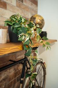 The Brick 194, 7 posti letto